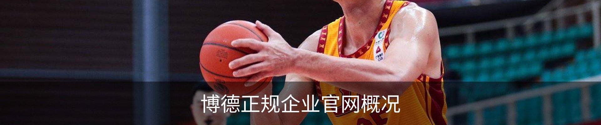 博德正规企业官网概况